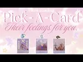 Download Lagu Their current FEELINGS for you.💓🕯️🥰Pick A Card reading🔮