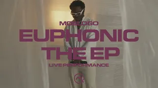 moelogo euphonic live performances