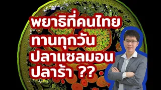 พยาธิไส้เดือนมีลักษณะอย่างไร และจะทำให้เกิดภาวะแทรกซ้อนใดได้บ้าง