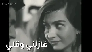 غازلني وئلي مشتئلي حالات واتس وائل كفوري 