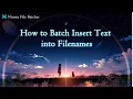 How to Batch Insert Text into Filenames Ninetu File Batcher
