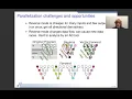 Vector Forward Mode Automatic Differentiation on architectures