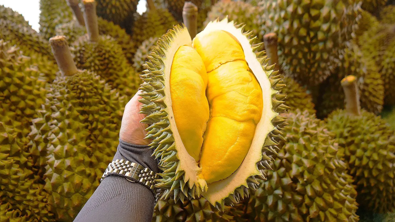 Biggerst Durian Cutting Skills Master - Thai Street Food