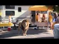Food Lion commercial