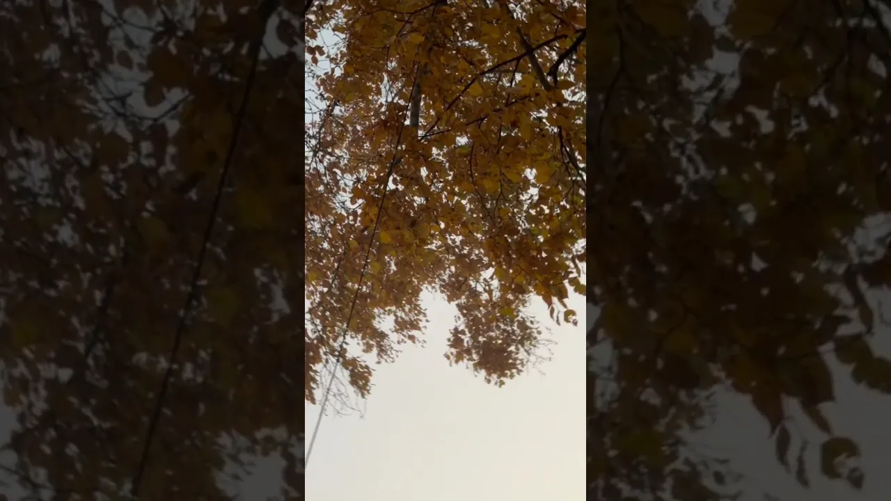 October times
