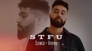 stfu perfect slowed reverb ap dhillon u0026 shinda kahlon