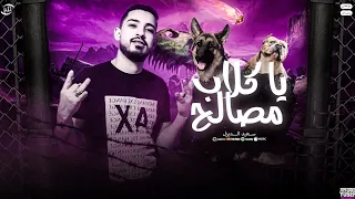 مهرجان يا كلاب مصالح   سعيد الديزل   توزيع تيتو العالمي   مهرجانات      دندنها