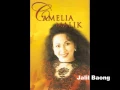 Download Lagu Camelia Malik Liku liku