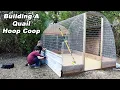 HOOP COOP for 100 Quail Building a quail paradise for our new Coturnix Quail