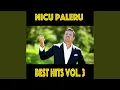 Nicu Paleru - Am Fost Tanar Si-N Am Avut Minte