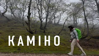 Я пройшла 400 км сама мій досвід Каміно та невідома Іспанія 