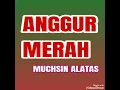 Anggur Merah - MUCHSIN ALATAS ( lagu dangdut jadul )