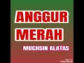 Lagu Anggur Merah - MUCHSIN ALATAS ( lagu dangdut jadul )