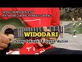 WIDODARI - Denny Caknan Ft. Guyon Waton || Cover Kentrung Senar 3