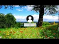Java GUI - Windows Login UI