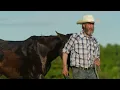 Trailer - This Is The Tom Green Documentary