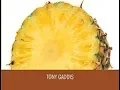 3 2 Magic Dates - Starting out with Java From Control Structures through Objects 6th Edition