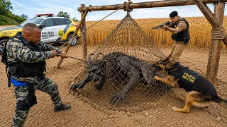 PEGAMOS A CRIATURA CHIFRUDA NA ARMADILHA