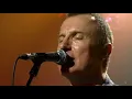 JAMES REYNE -  OH NO NOT YOU AGAIN