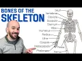 Bones of the Skeleton UPDATED