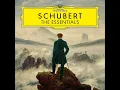 Schubert: Piano Quintet in A Major, D. 667 "Trout Quintet": IV. Theme – Andantino – Variations 1-5 – Allegretto - James Levine, Gerhart Hetzel, Wolfram Christ & Georg Faust