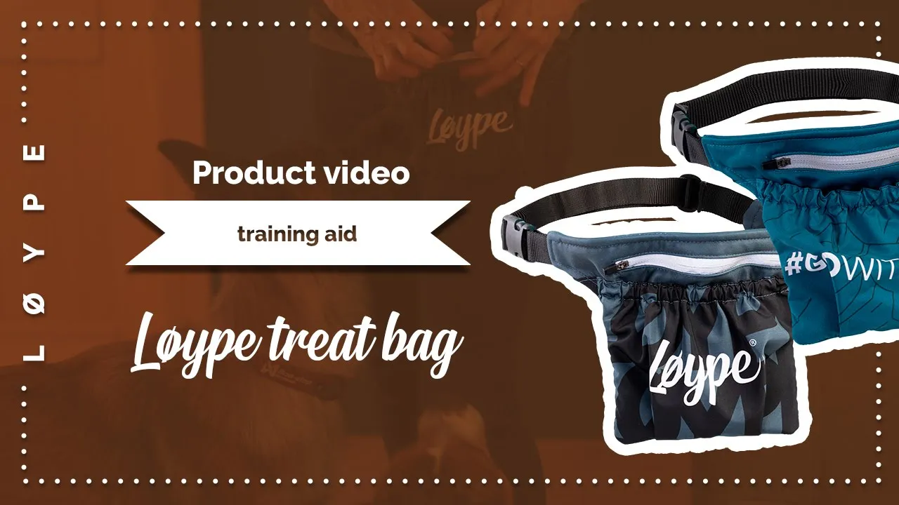 Treat Bag