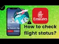 How to check flight status in Emirates