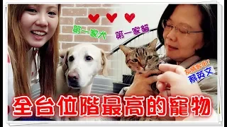 【魚乾】全台位階最高的寵物!拜訪第一家貓家犬!(Feat. 蔡英文 的寵物們)