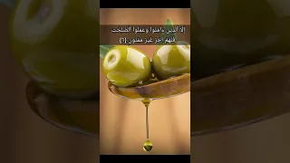 سورة التين ماهر المعيقلي 