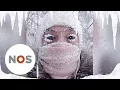 Download Lagu SIBERIË: Tips om -67° te overleven