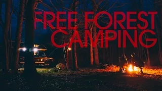 Free National Forest Dispersed Camping – Van Life 125