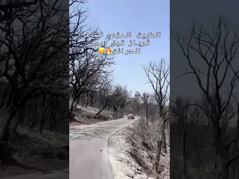 #سكيكدة الطريق المؤدي إلى قرباز قبل وبعد الحرائق