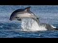 Crosby Stills & Nash - Southern Cross (Remastered/lyrics in Description)