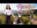 I Spent a Day at Australia s Cutest Wildlife Park
