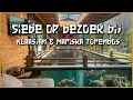 Lagu Siebe op bezoek bij... Klaasjan \u0026 Mariska Torenbos