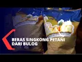 Download Lagu Bulog Kenalkan Produk Baru Beras Singkong Besita