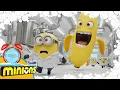 Minions Banana Song 2 Minute Toothbrush timer with Music