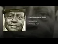 Parchman Farm Blues - Bukka White