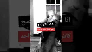 كي تكون ناس ملاح 