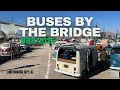 Buses by the Bridge Recap The Ultimate VW Bus Meet Show and Camping BBB 2025 Lake Havasu AZ