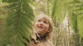 hollow coves blessings official music video 