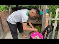 Download Lagu Mantap Pansuh Semah Bujang Sigat Junior Macam Resipi I Nya \u0026 BS Sedap😋