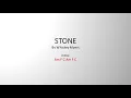 Stone by Whiskey Myers - Easy chords and lyrics