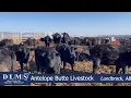 DLMS Direct - Antelope Butte Livestock