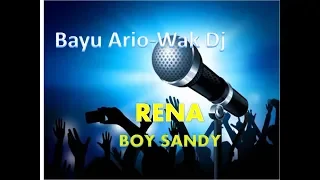 Download RENA-Boy Sandy ( Karaoke Lirik Tanpa Vokal )cover teks MP3