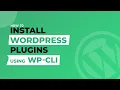 How to Install WordPress Plugin Using WP-CLI Part-3