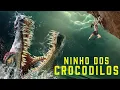 Lagu Ninho dos Crocodilos FILME COMPLETO DUBLADO | Filmes de Monstros Gigantes | Noite de Filmes