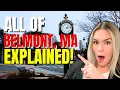 Everything You Need to Know About Living in BELMONT MA