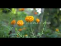 flower cinematic