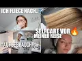 Lagu die letzten Vorbereitungen.. KRASSE NÄGEL SESSION 💅🏻 #vlog | Erika